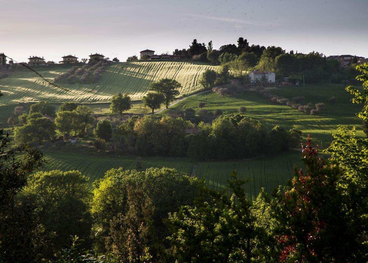 Grande Villa Storica Per Vacanze Con Giardino Privato E Piscina Ostra Экстерьер фото
